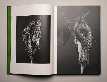 Preview: BEHAUSUNGEN / DWELLINGS / DOMICILIA (I–III) Fragile Architektur