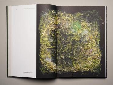 Preview: BEHAUSUNGEN / DWELLINGS / DOMICILIA (I–III) Fragile Architektur