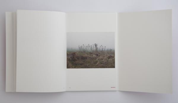 -Fremdesland- von Anja Bohnhof