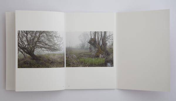 -Fremdesland- von Anja Bohnhof